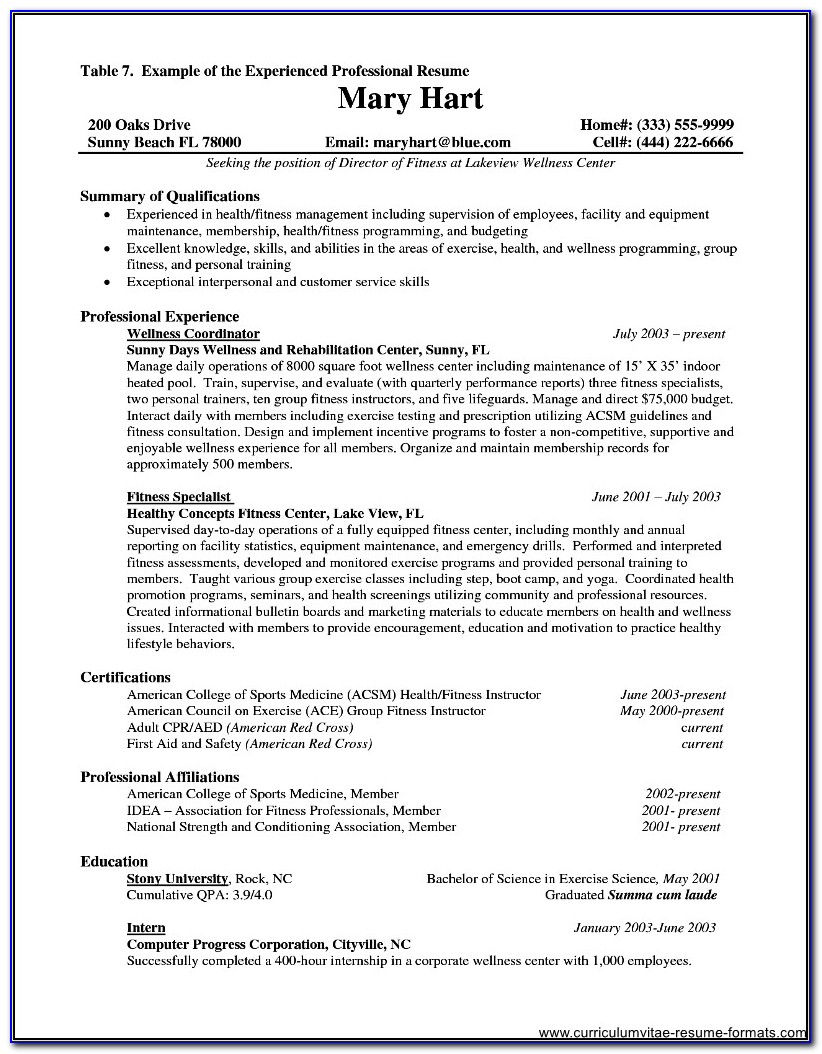 Resume Format For Experienced It Professionals Pdf