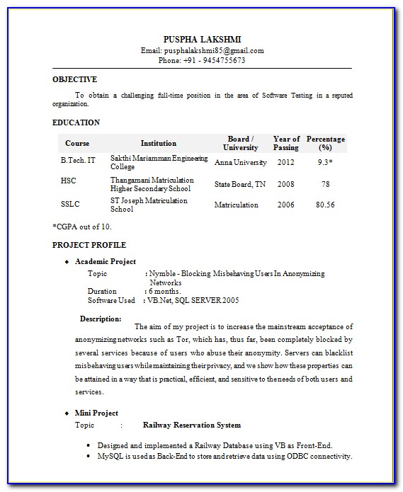 Resume Format For It Professional Experience