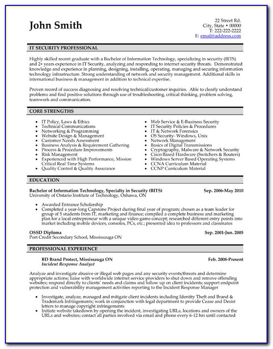 Resume Format For It Professionals
