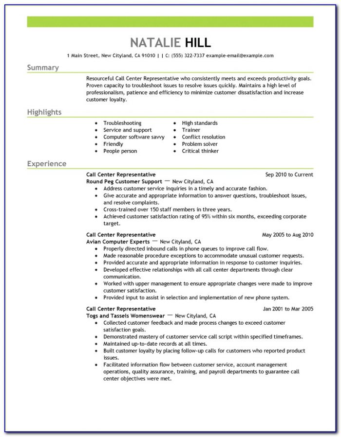 Resume Template Example