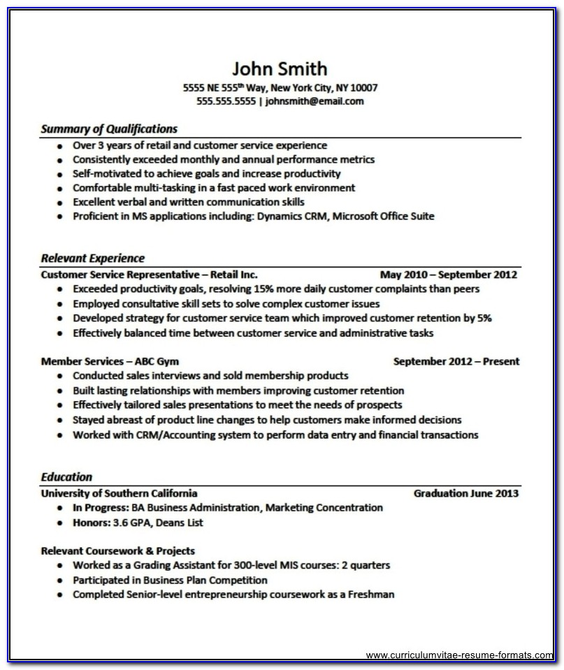 Professional Resume Templates For Experienced