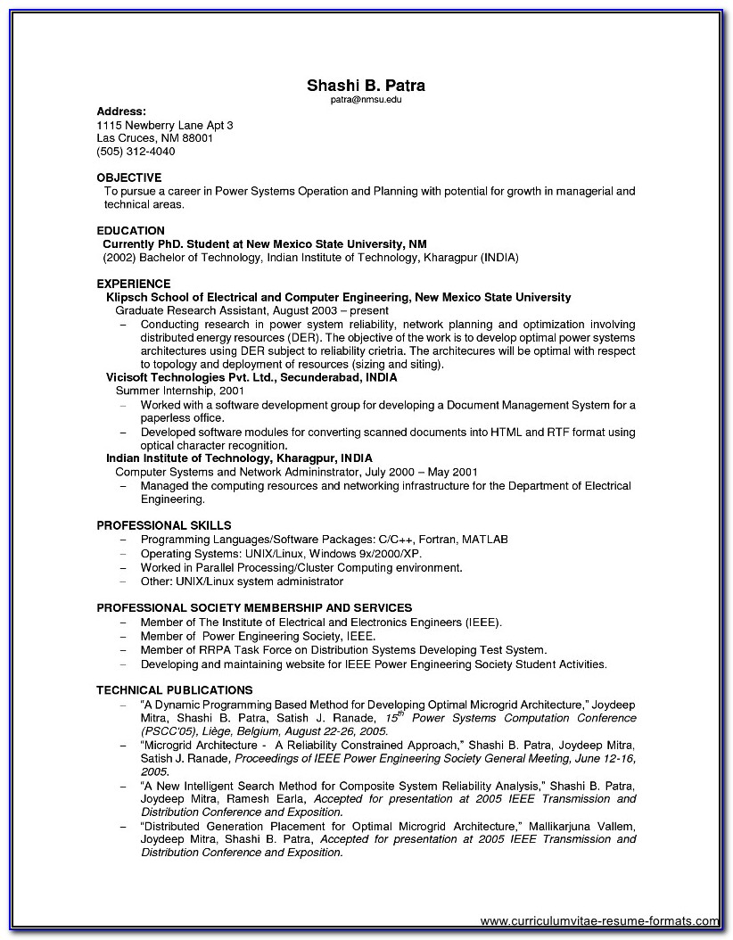 Sample Resume For It Professional Experience