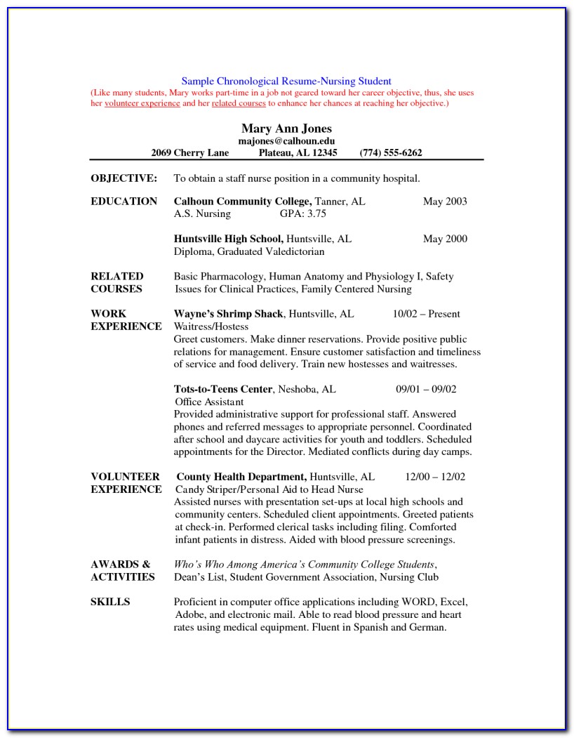 Sample Of Resume For Nurses With Job Description