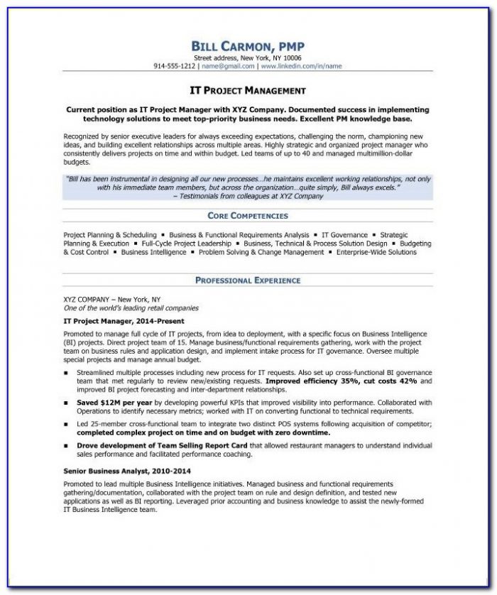 Sample Resume Project Manager Ngo