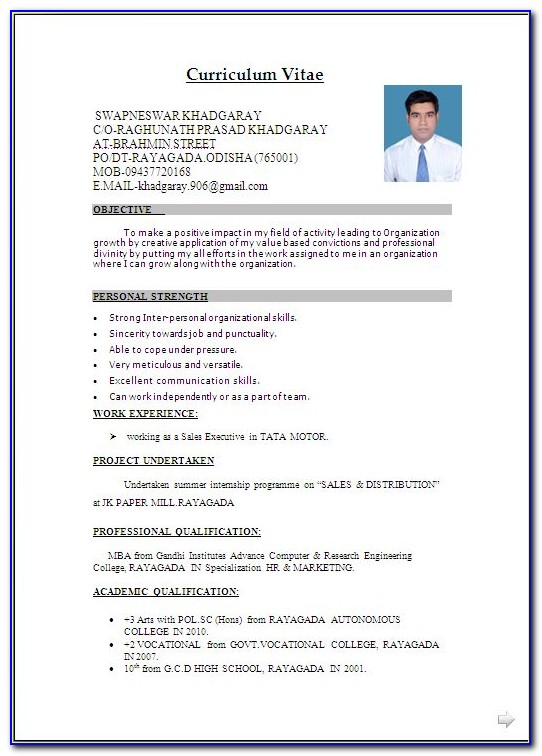 Simple Resume Format Download Free