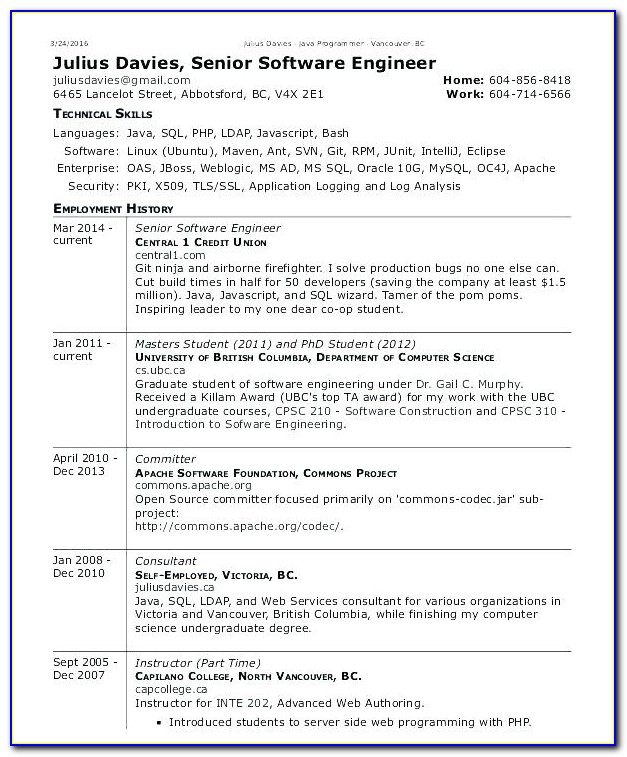 Software Cv Template Free Download