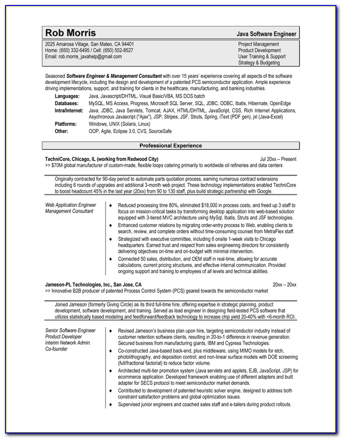 Software Resume Template Word