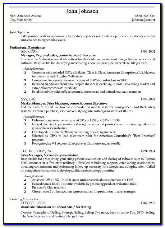 Templates Of Professional Resumes