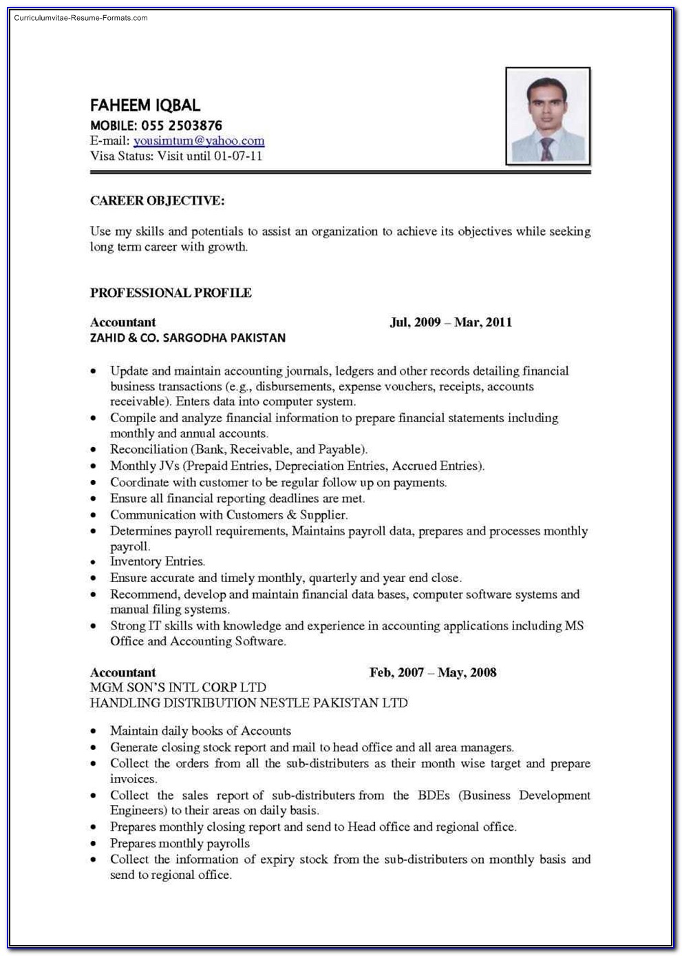 Best Resume Template To Use