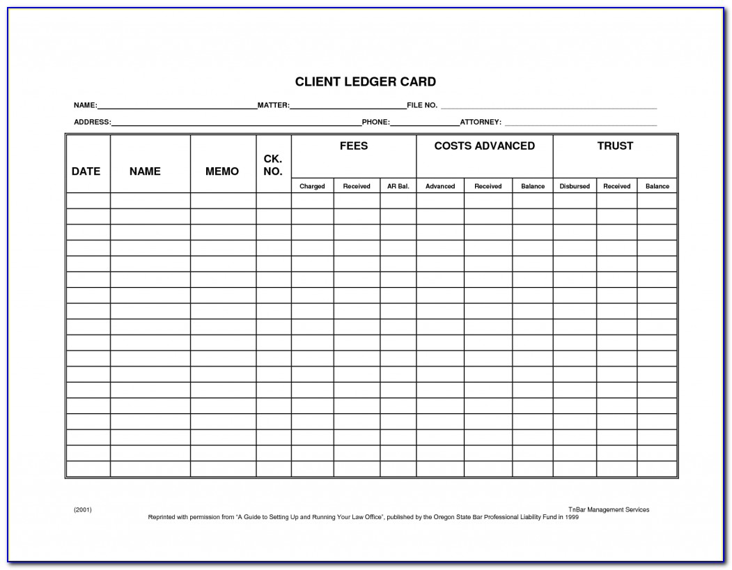 Vce Accounting Ledger Templates