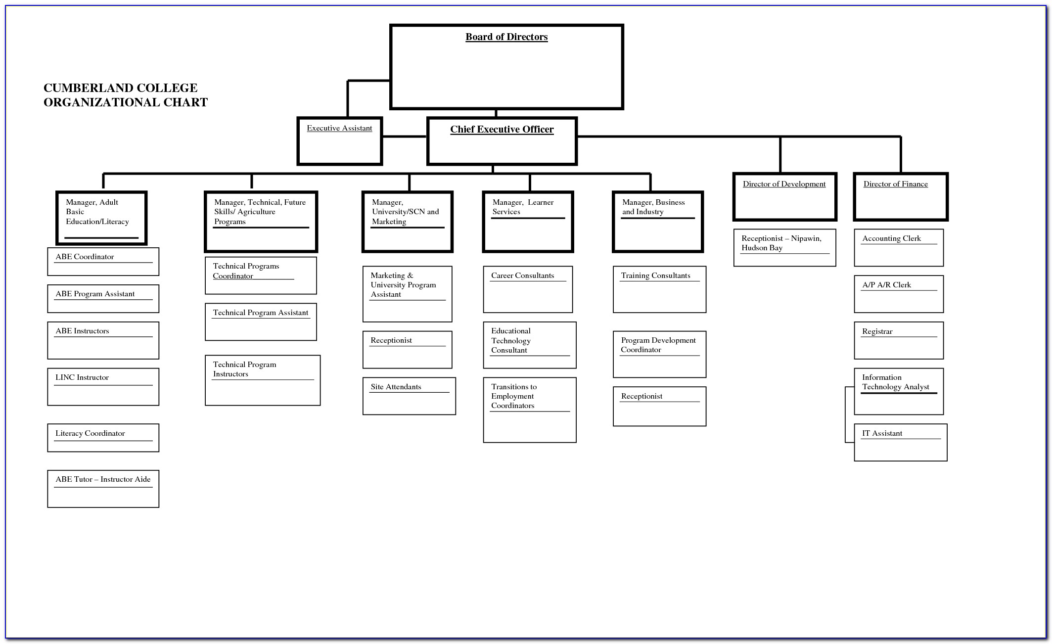Blank Org Chart Template Word