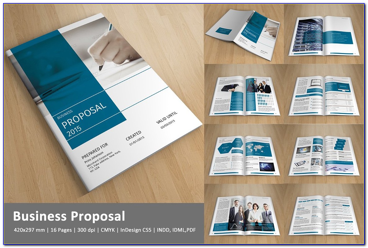 Business Proposal Indesign Template Free Download