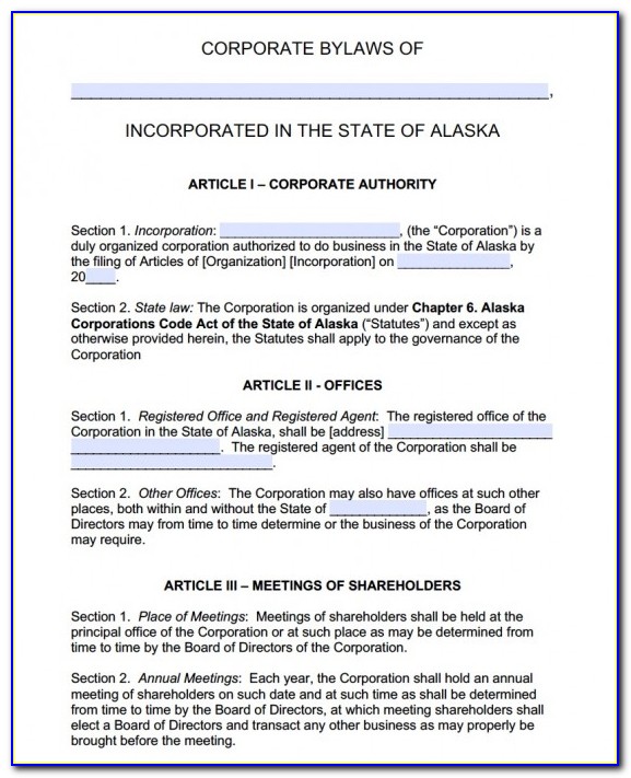 Corporate Bylaws Template Single Owner