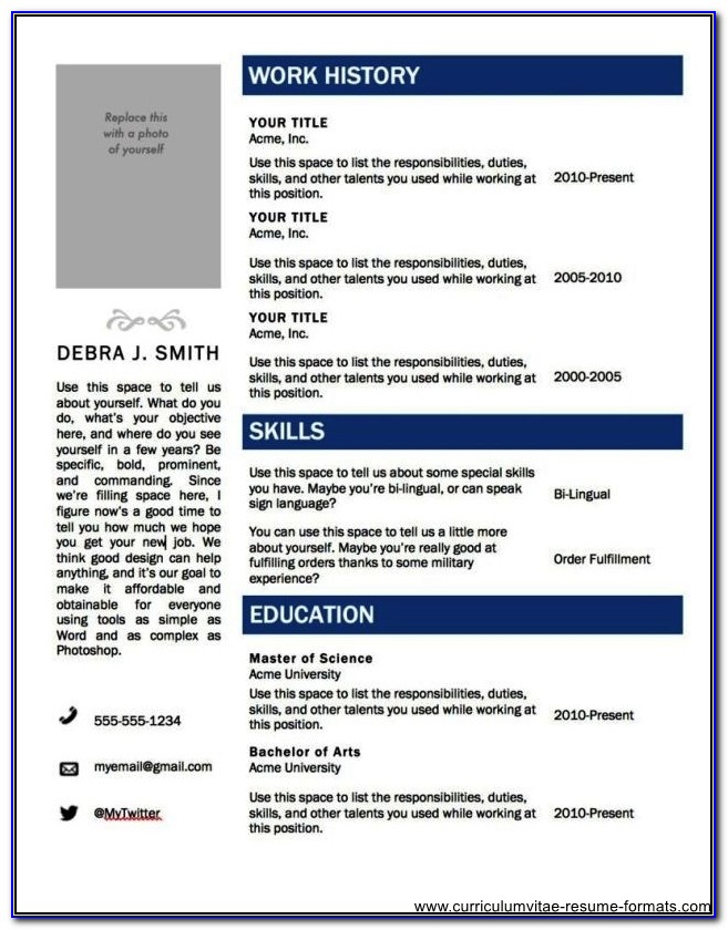 Professional Resume Template Word 2010