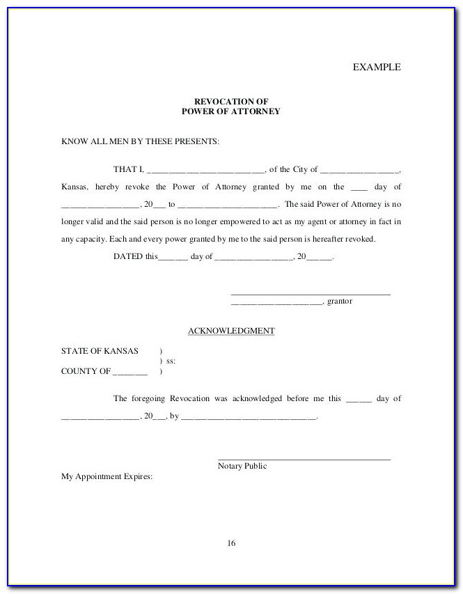Irrevocable Power Of Attorney Template