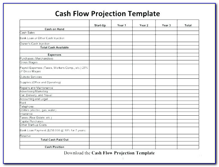 Pro Forma Cash Flow Projection Template