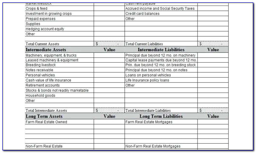 Real Estate Agent Expense Tracking Spreadsheet Elegant Home Balance Sheet Template Household Vancouvereast Co