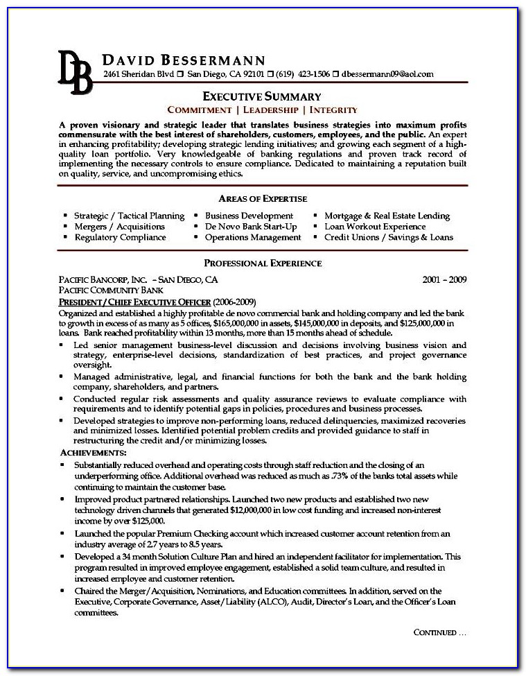 Executive Resume Template Examples