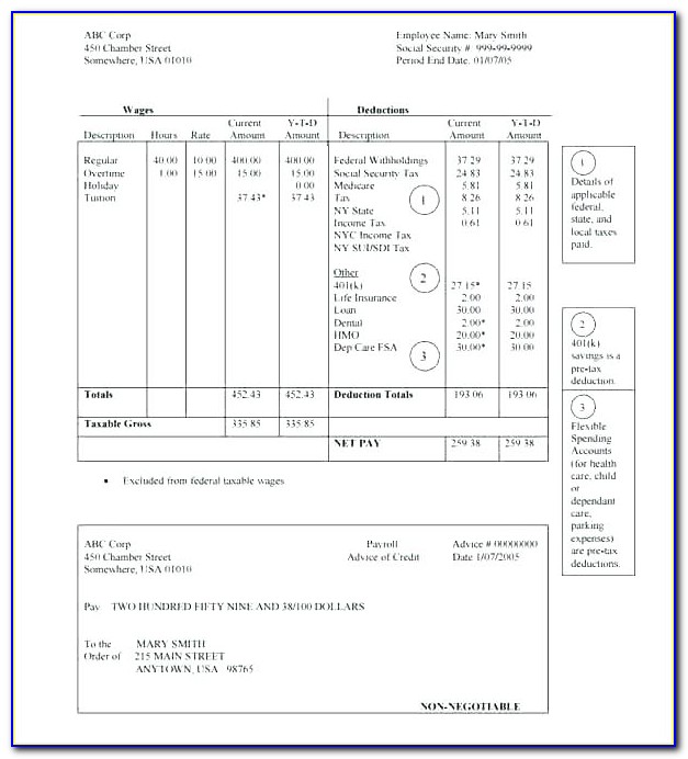 Self Employed Check Stub Template
