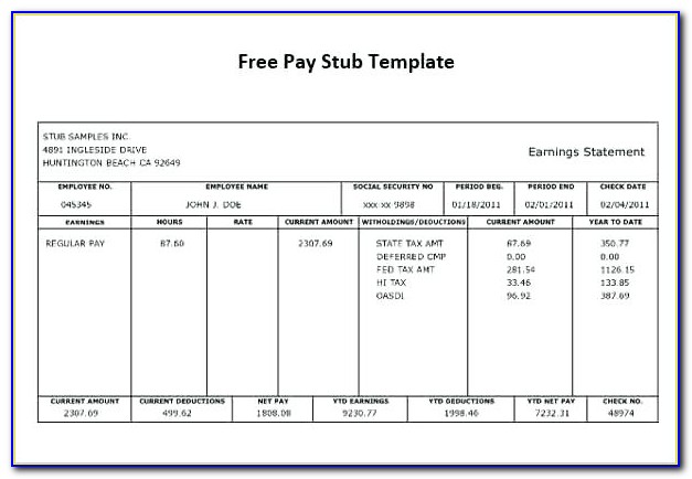 Self Employed Pay Stub Template