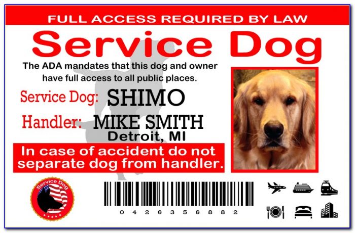 Service Dog Id Card Template Free Download