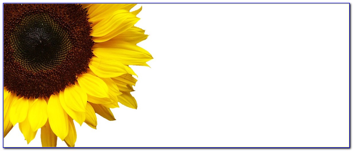 Sunflower Birthday Invitation Template