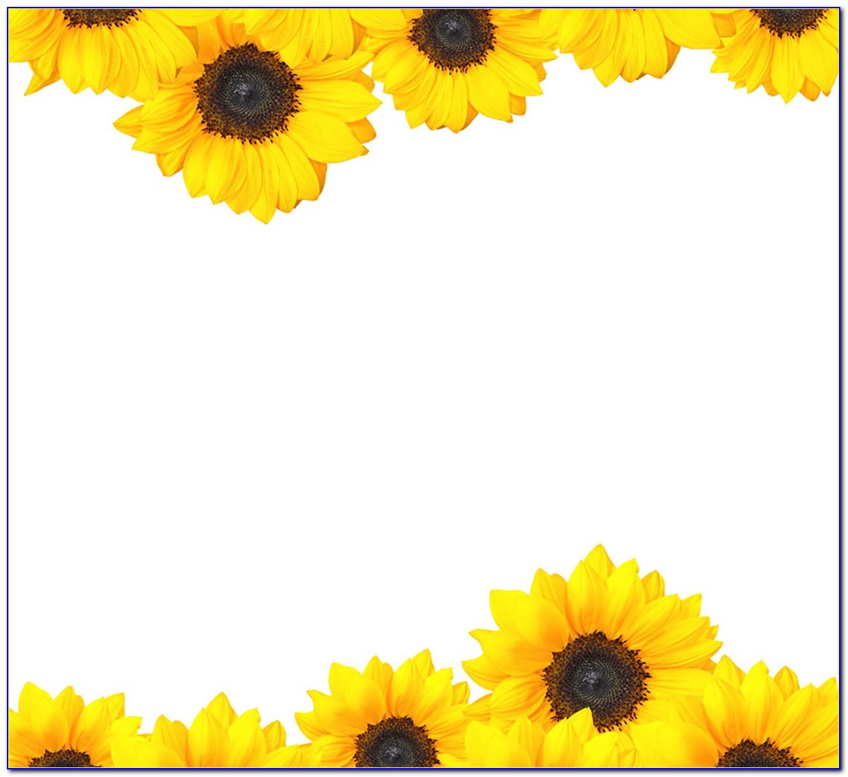 Sunflower Invitation Template Free