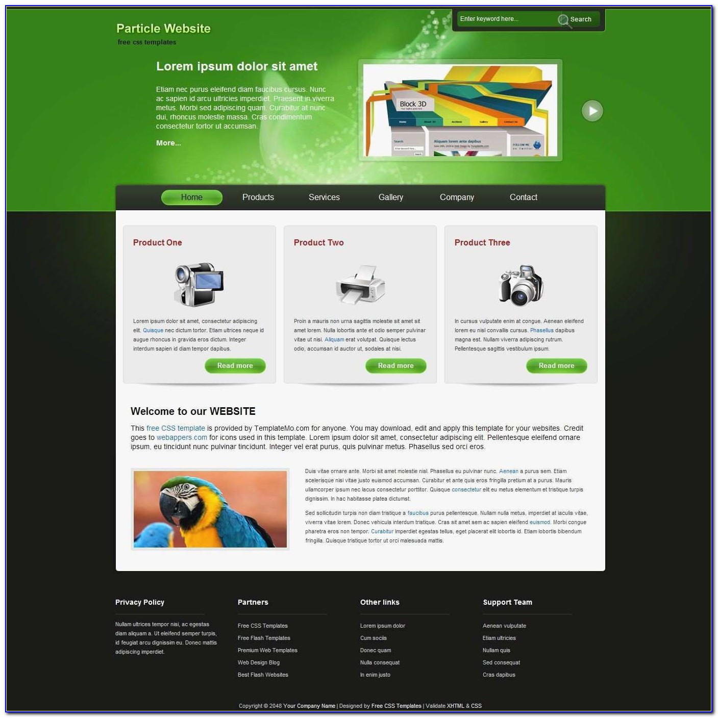 Responsive Website Templates Free Download Html With Css For School Fresh Webpage Design Templates Physic Minimalistics