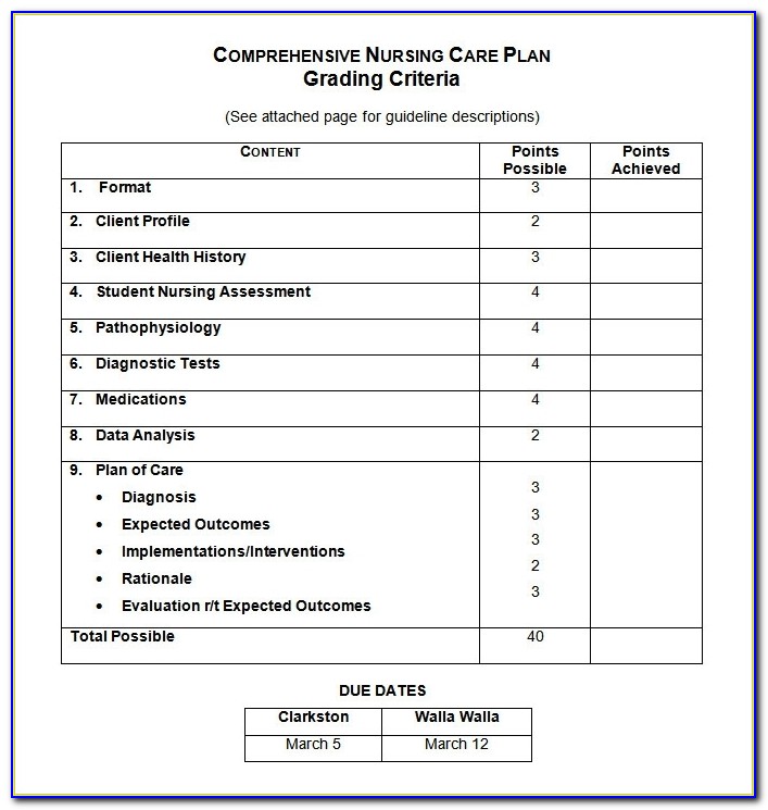 Nursing Care Plan Templates 16 Free Word, Excel, Pdf Documents Pertaining To Free Nursing Care Plan Templates