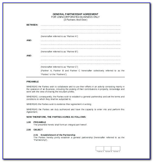 Business Partnership Agreement Template Free Download South Africa