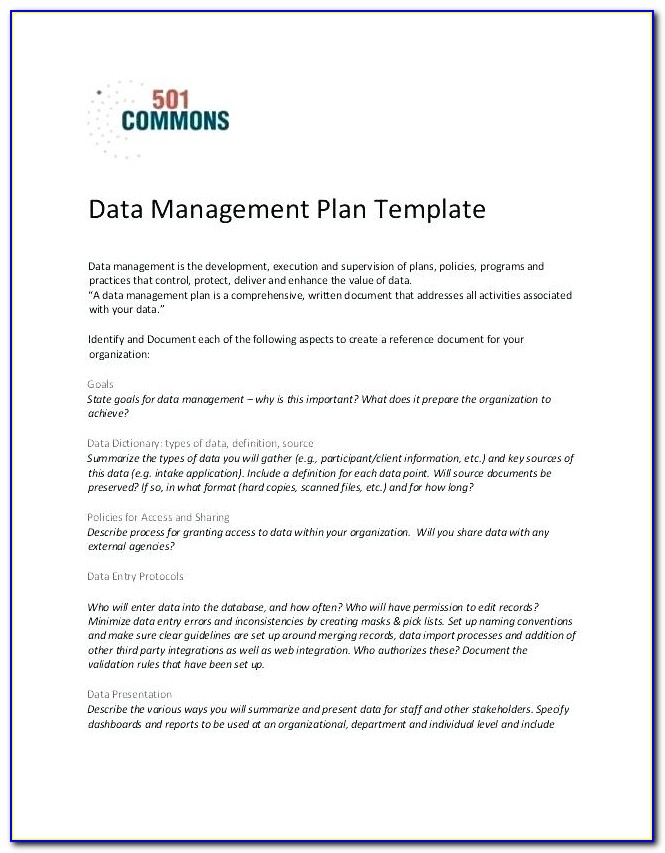 Client Case Management Plan Template