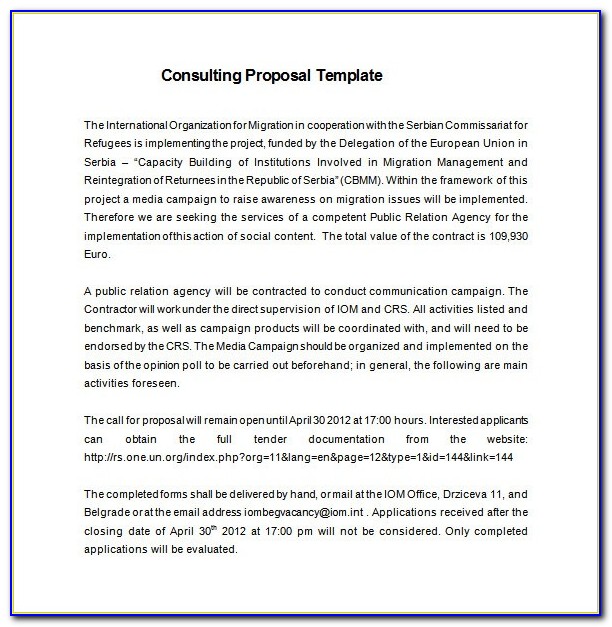 Consulting Proposal Template Doc Free
