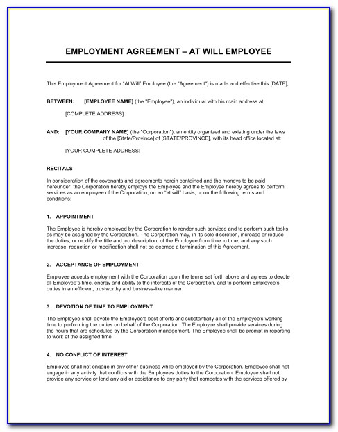 Employment Agreement General Template Amp Sample Form Biztree Employment Agreement Template