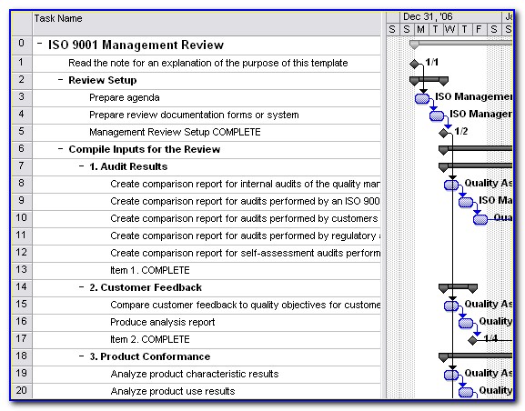 Iso 9001 Management Review Template Excel