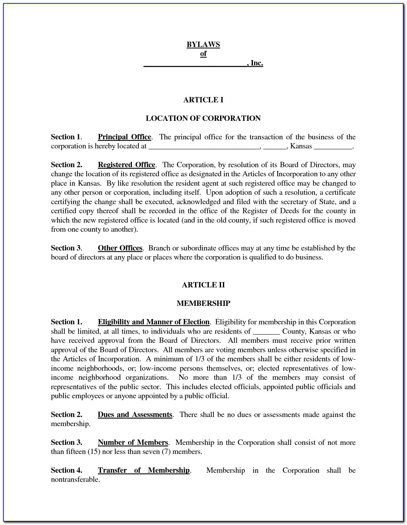 Organization Constitution And Bylaws Template