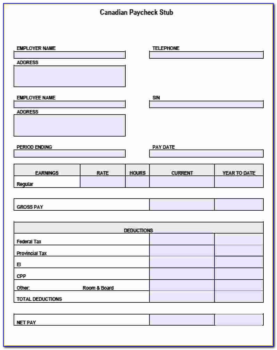 Payroll Statement Template For 8 Pay Stub Template Pdf