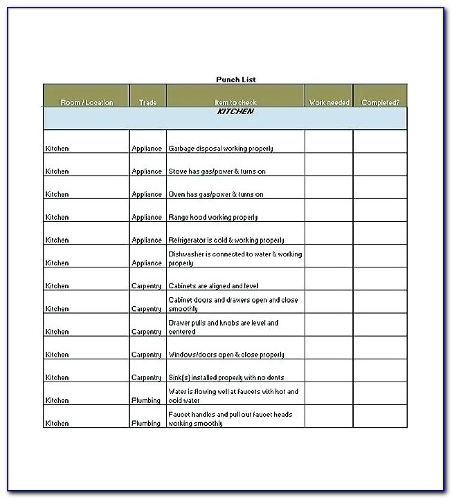 Project Management Action Plan Template Excel