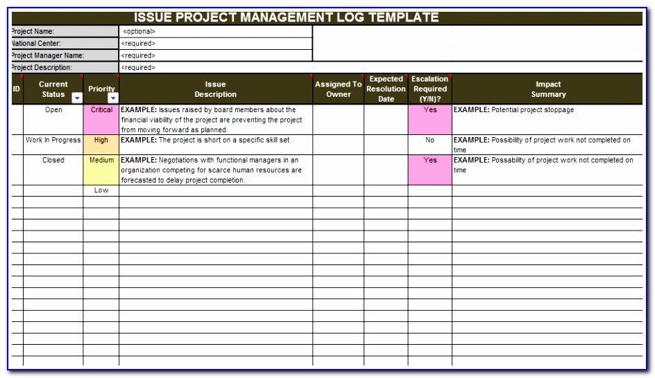 Download Economic Impact Analysis Template Printable Project Management Issue Log Template Lovely Doc Xls Letter Templates Purut