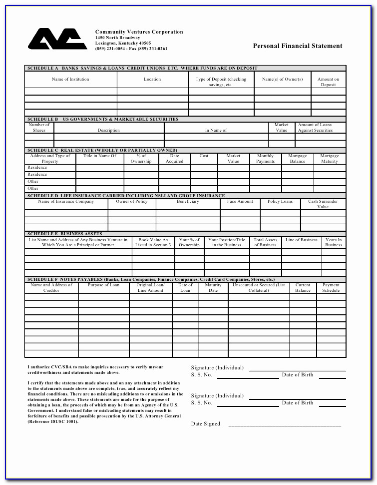 Sba Personal Financial Statement Template Or Download The Personal Financial Statement Word Format