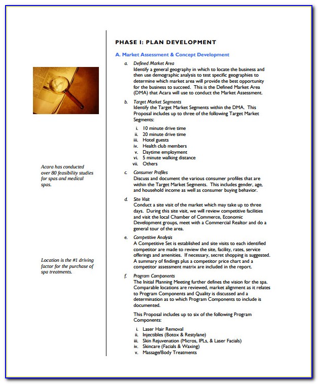 Spa Business Plan Template Free