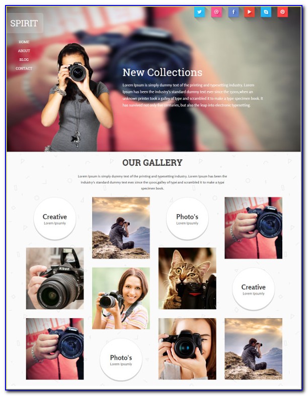 Wildlife Photography Website Templates Free Download