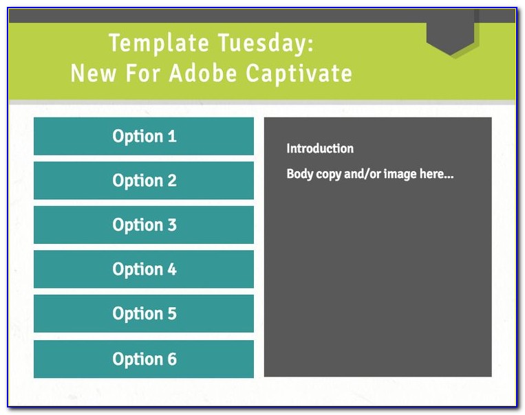 Adobe Captivate Templates Free