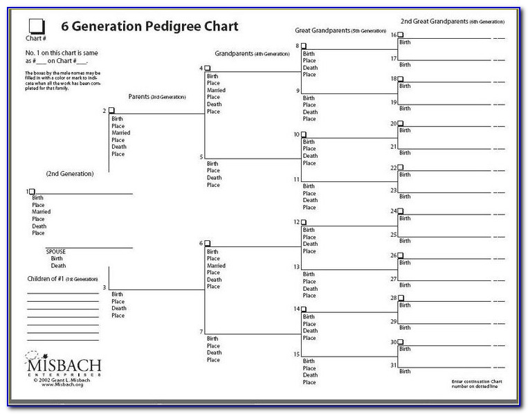 Blank Genealogy Chart Template