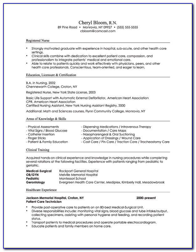 Combination Resume Template Free Download