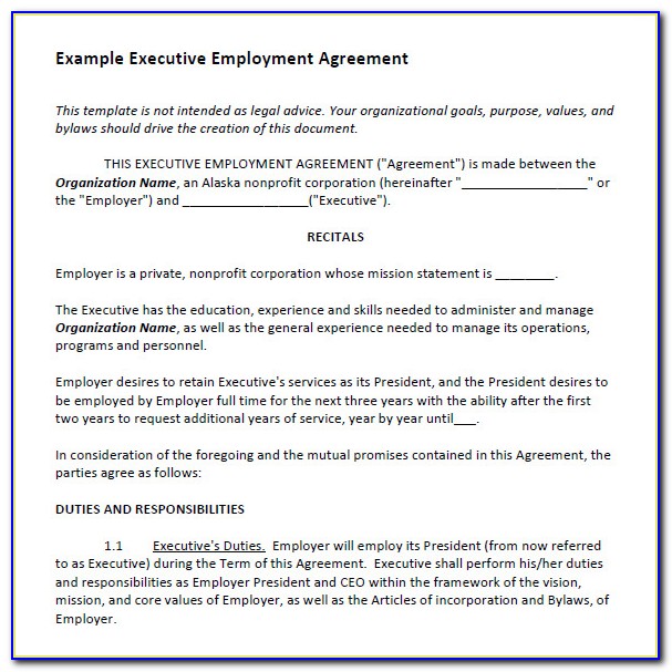 Executive Employment Agreement Template Usa