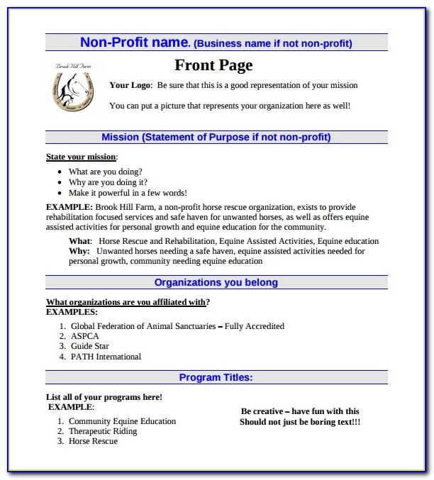 Free Nonprofit Business Plan Template Word