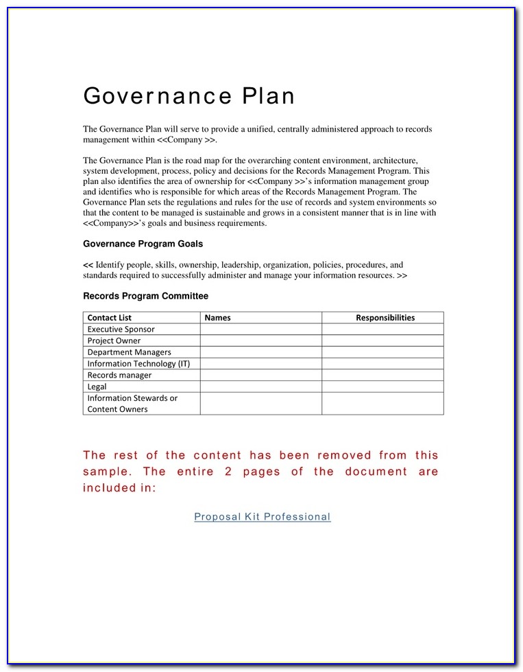 Project Governance Plan Example