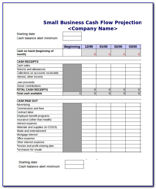 Small Business Cash Flow Template