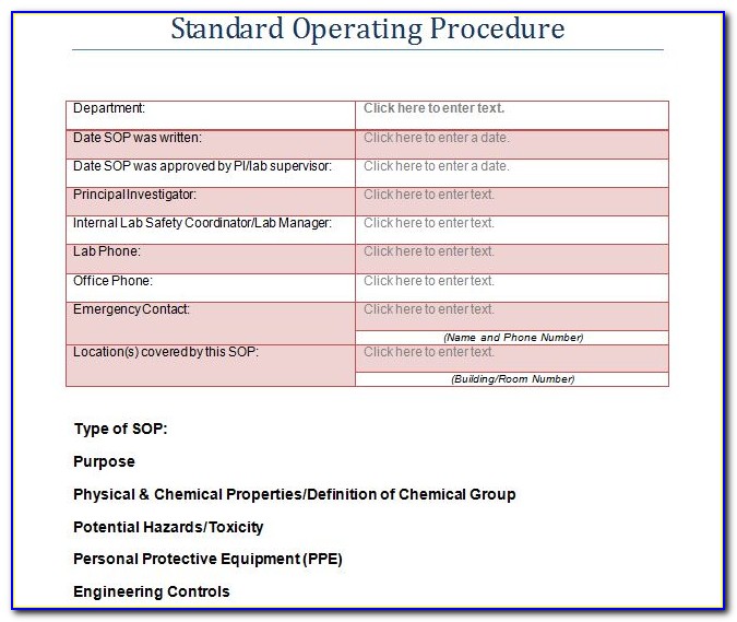 Accounting Standard Operating Procedure Template Pdf