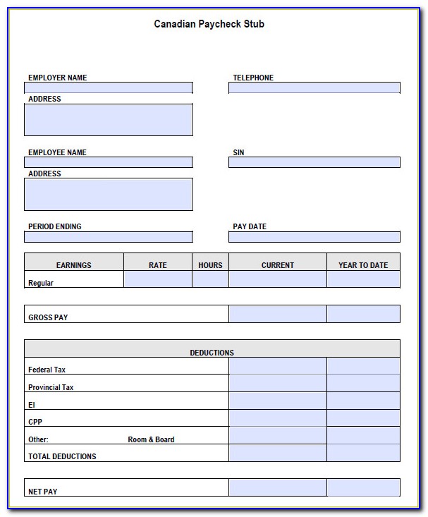 Contractor Pay Stub Template Word